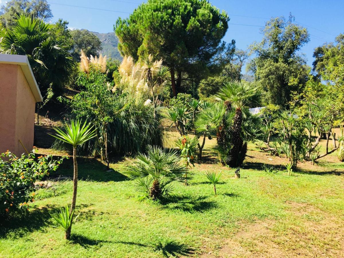 Emilia Santa-Maria-Poggio (Corsica)