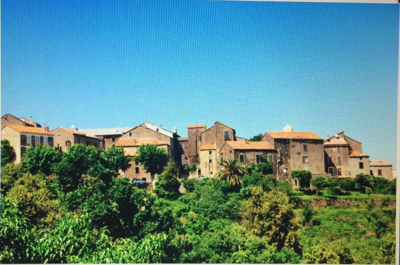 Apartment Emilia Santa-Maria-Poggio (Corsica)