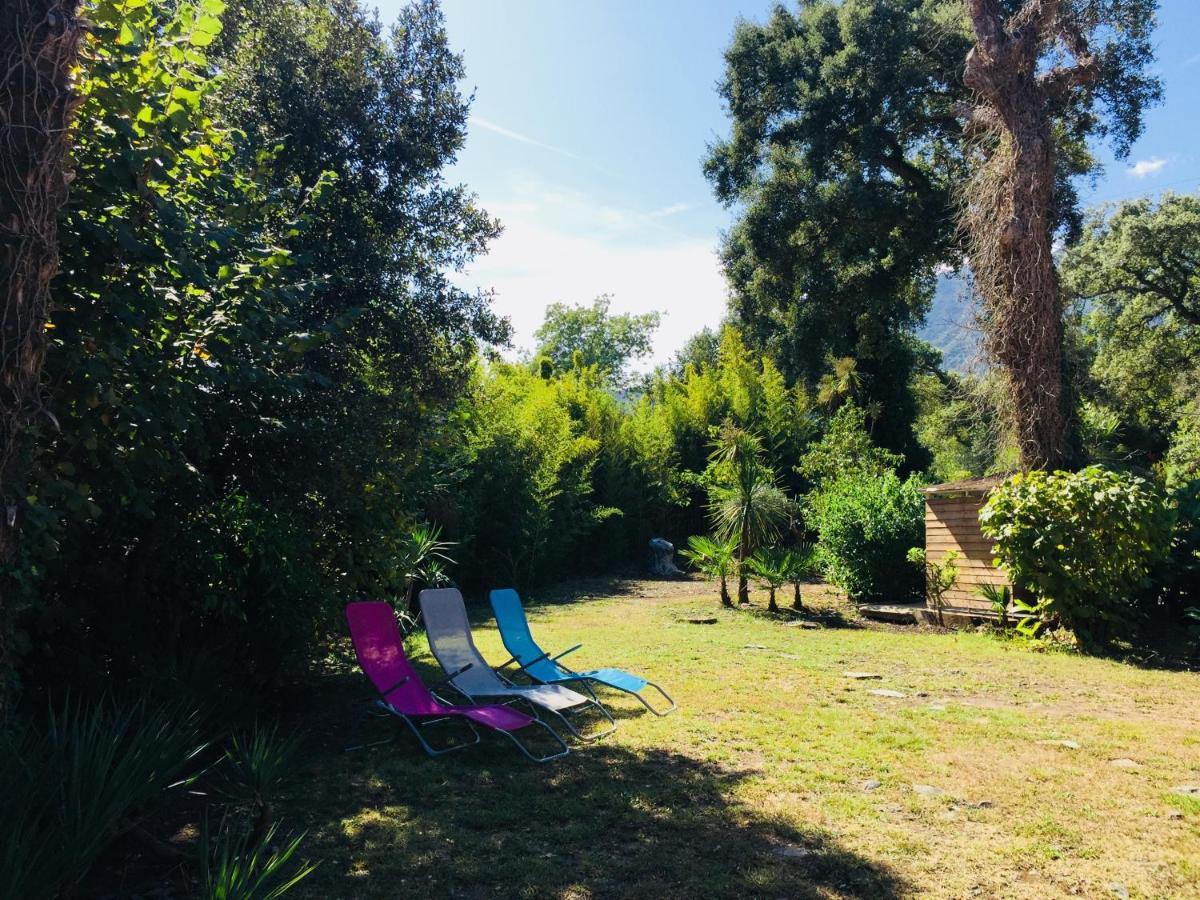 Apartment Emilia Santa-Maria-Poggio (Corsica)
