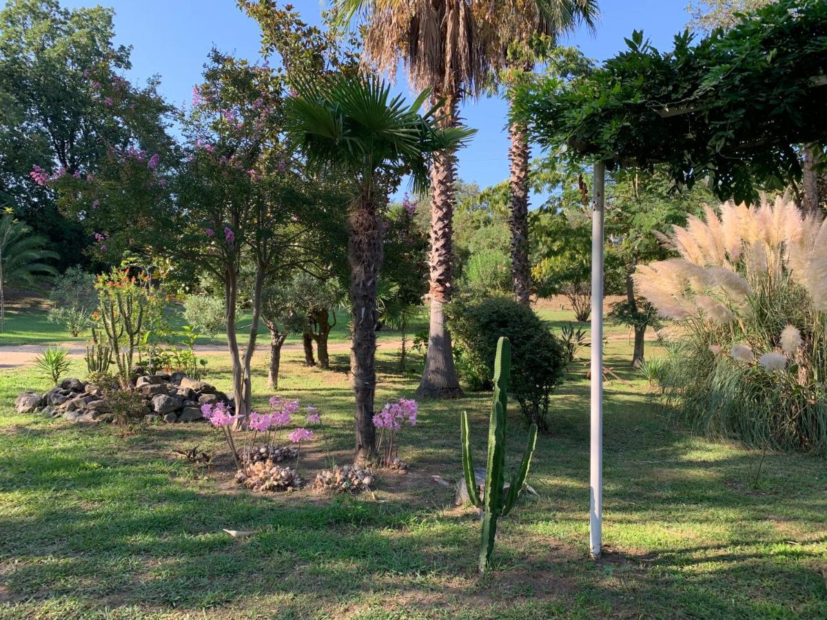 Emilia Apartment Santa-Maria-Poggio (Corsica)